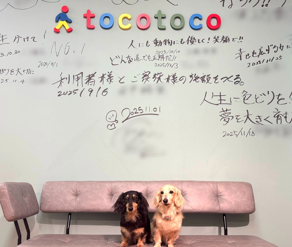 tocotoco 株式会社