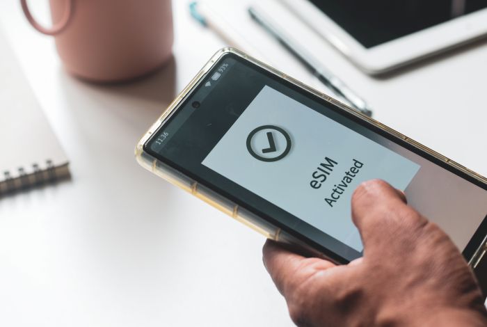 海外esim